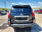 2013 LEXUS GX 460