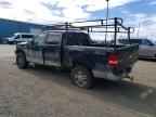 2007 FORD F-150 Lightning