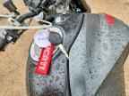 2021 DUCATI MONSTER
