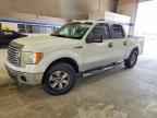 2010 FORD F-150 Lightning