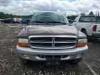 2004 DODGE Dakota