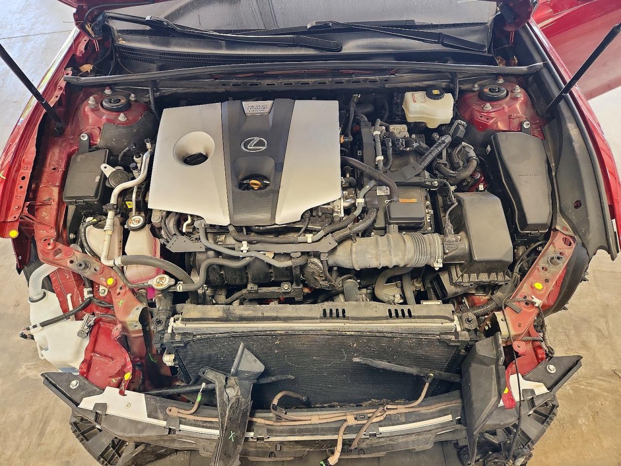 2019 LEXUS ES 300H