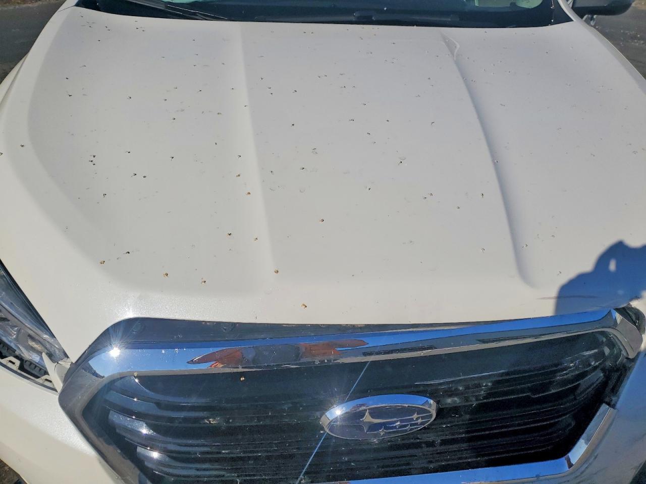 2022 SUBARU Ascent