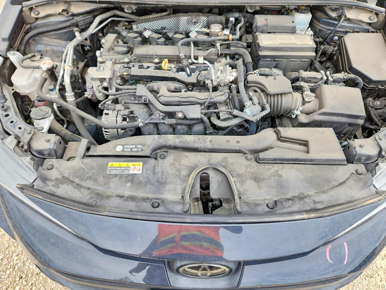 2023 TOYOTA COROLLA