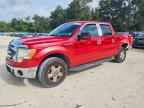 2010 FORD F-150 Lightning