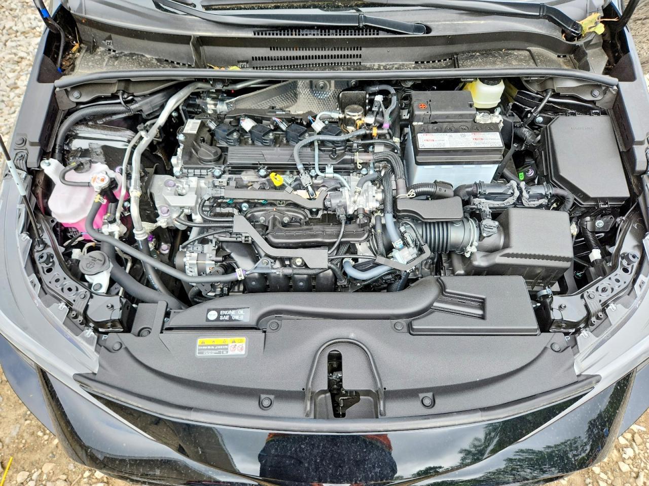 2026 TOYOTA COROLLA