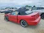 1994 FORD MUSTANG