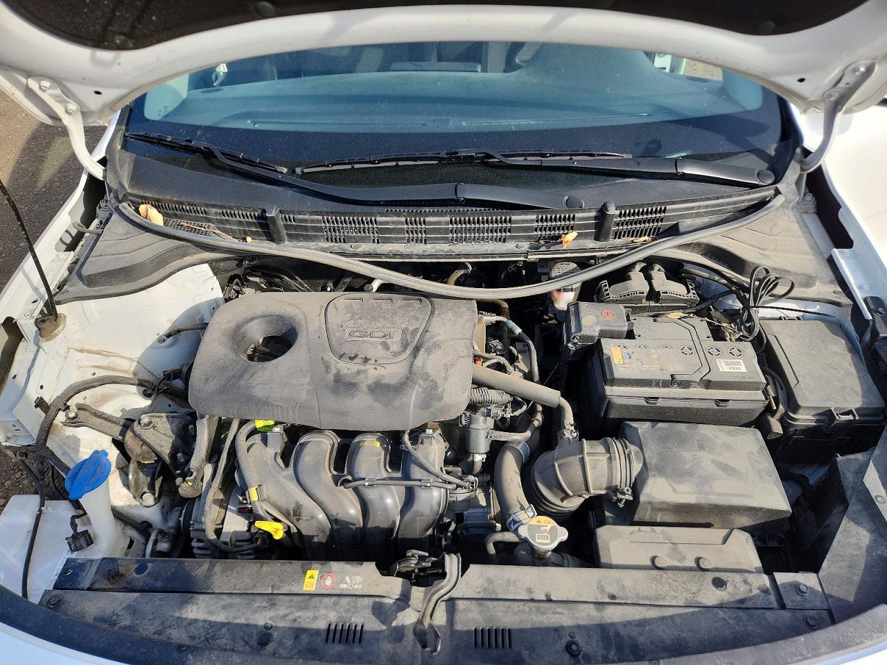 2019 KIA RIO