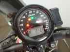 2024 INDIAN MOTORCYCLE CO. FTR