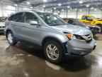 2010 HONDA CR-V