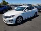2015 KIA Optima Hybrid