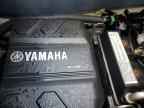 2023 Yam Vx