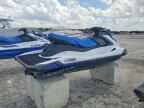 2023 Yam Vx