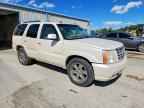 2005 CADILLAC ESCALADE