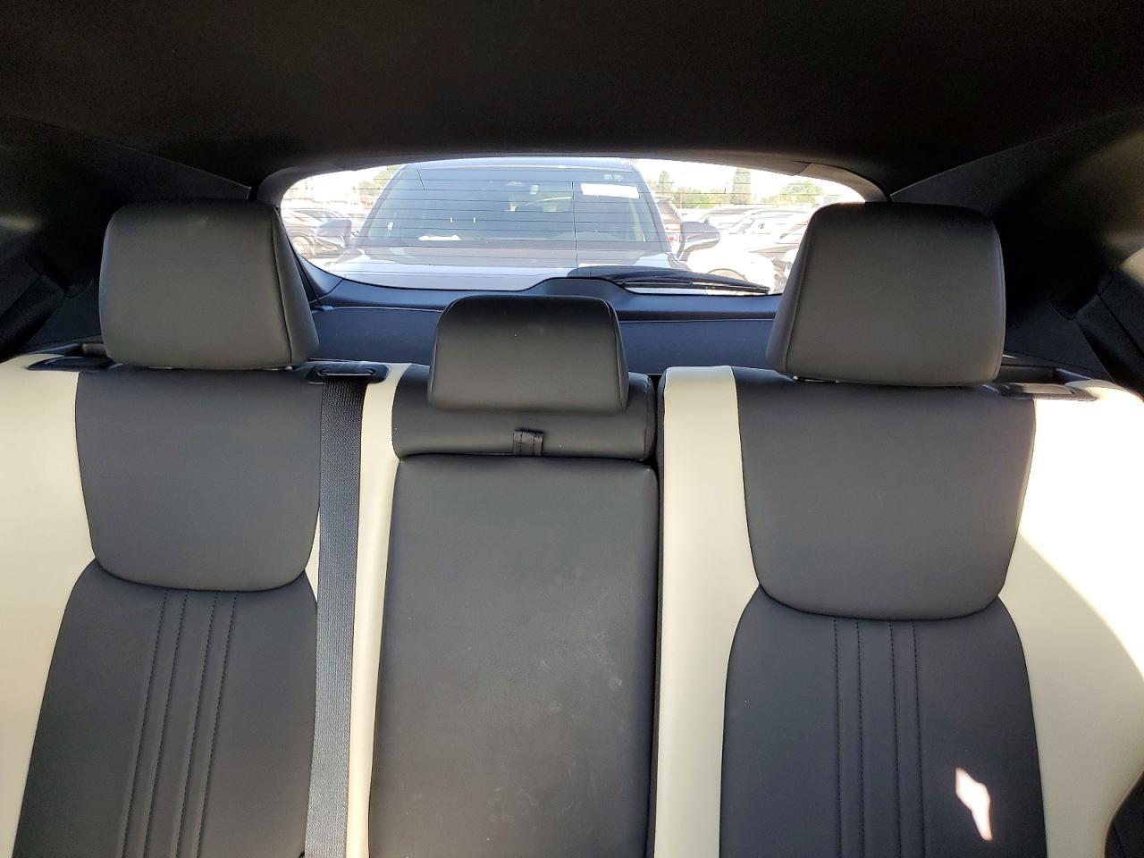 2024 LEXUS NX 250