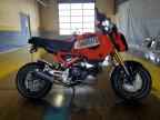 2024 HONDA Grom