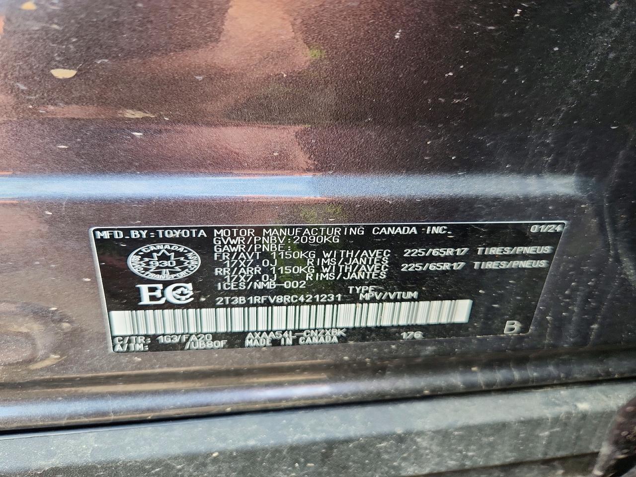2024 TOYOTA RAV4