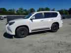 2022 LEXUS GX 460