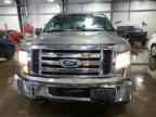 2010 FORD F-150 Lightning