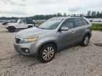 2011 KIA SORENTO