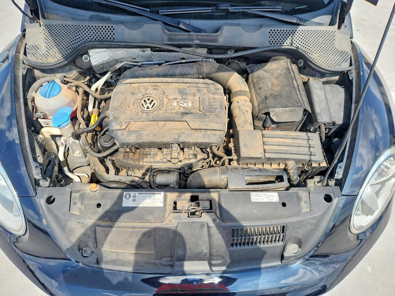 2013 VOLKSWAGEN Beetle