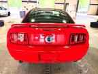 2009 FORD MUSTANG