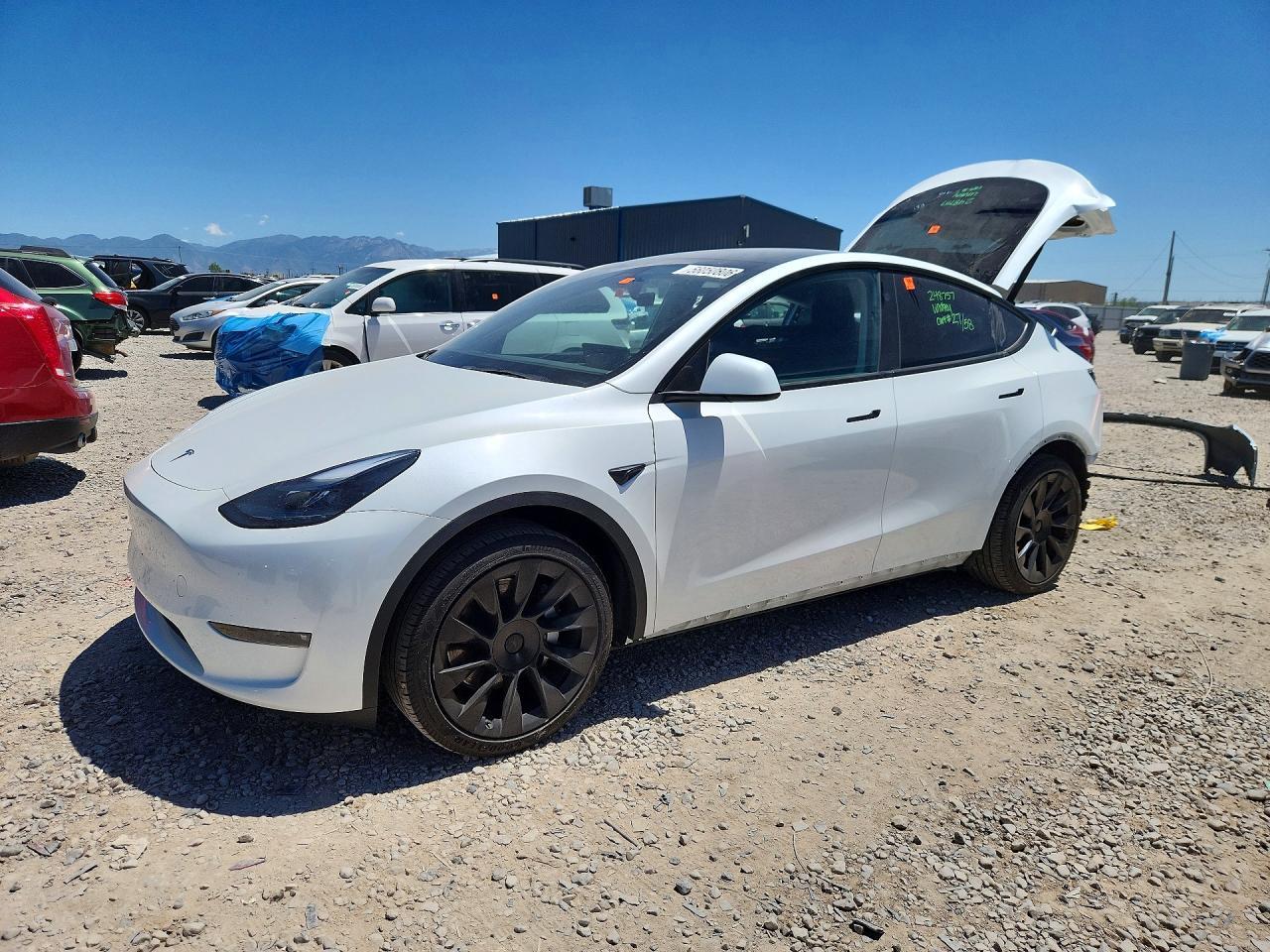2025 TESLA MODEL Y