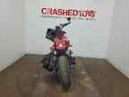 2024 INDIAN MOTORCYCLE CO. FTR