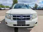 2010 FORD ESCAPE