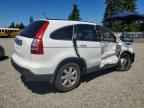 2007 HONDA CR-V
