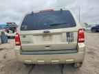 2010 FORD ESCAPE