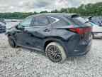 2024 LEXUS NX 350