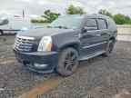 2009 CADILLAC ESCALADE