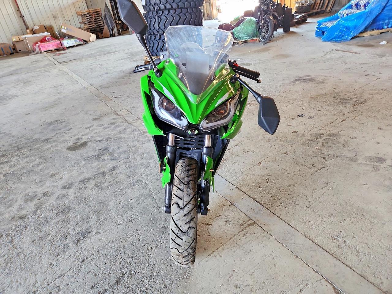 2024 Segen Dragon