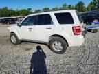 2009 FORD ESCAPE