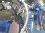 2001 HARLEY-DAVIDSON FXD