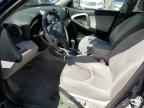 2006 TOYOTA RAV4