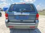 2011 MAZDA Tribute