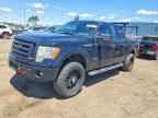 2012 FORD F-150 Lightning