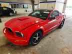 2009 FORD MUSTANG