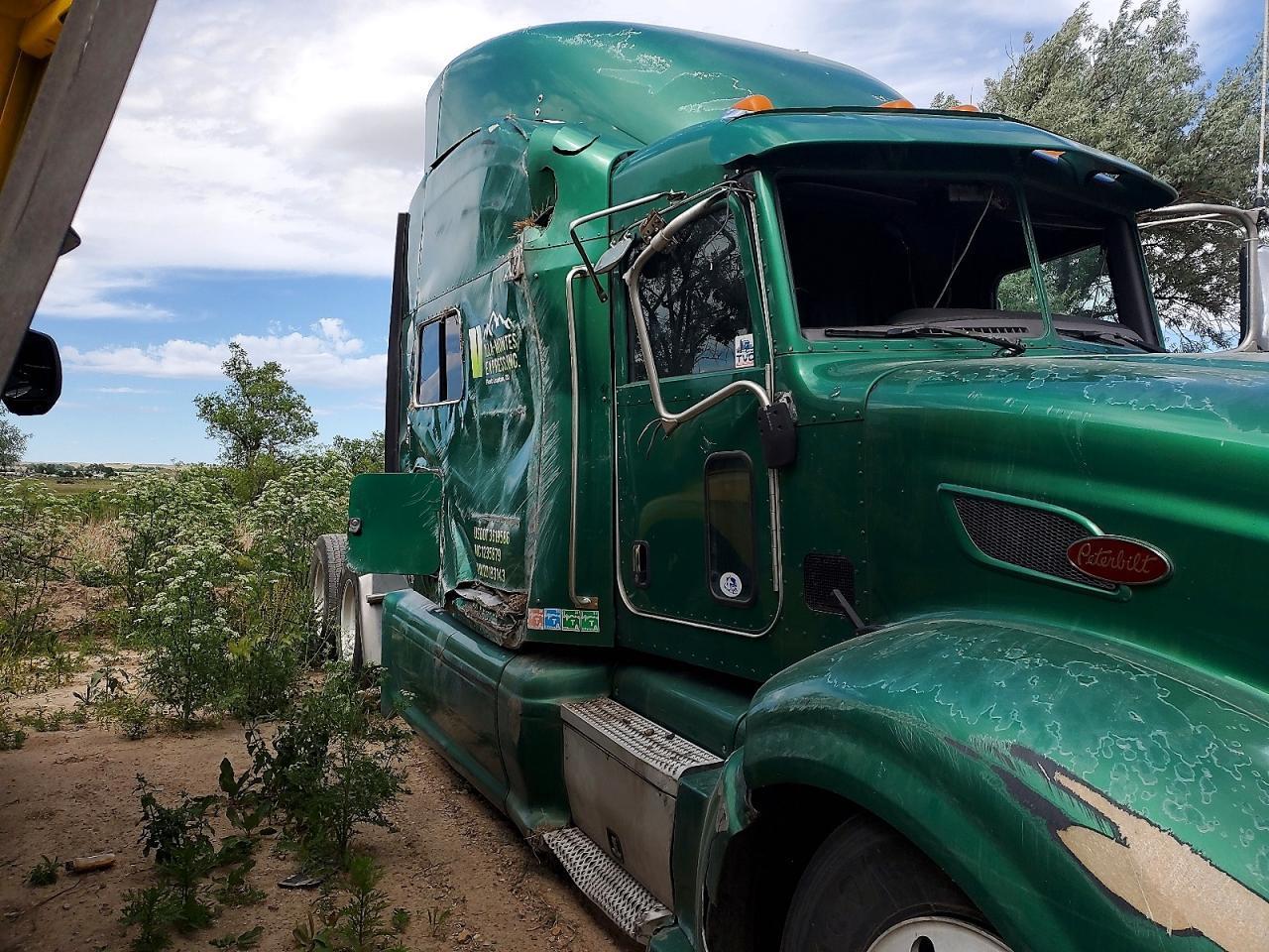 2013 PETERBILT 386