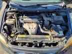 2007 SCION TC