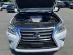 2017 LEXUS GX 460