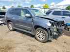 2019 LEXUS GX 460