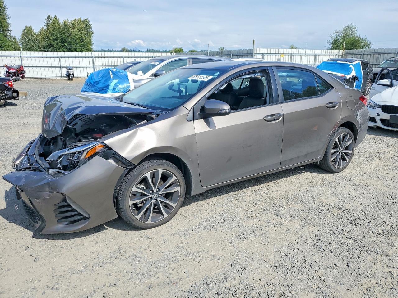 2019 TOYOTA COROLLA
