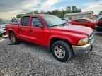 2004 DODGE Dakota