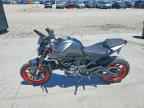2022 DUCATI MONSTER