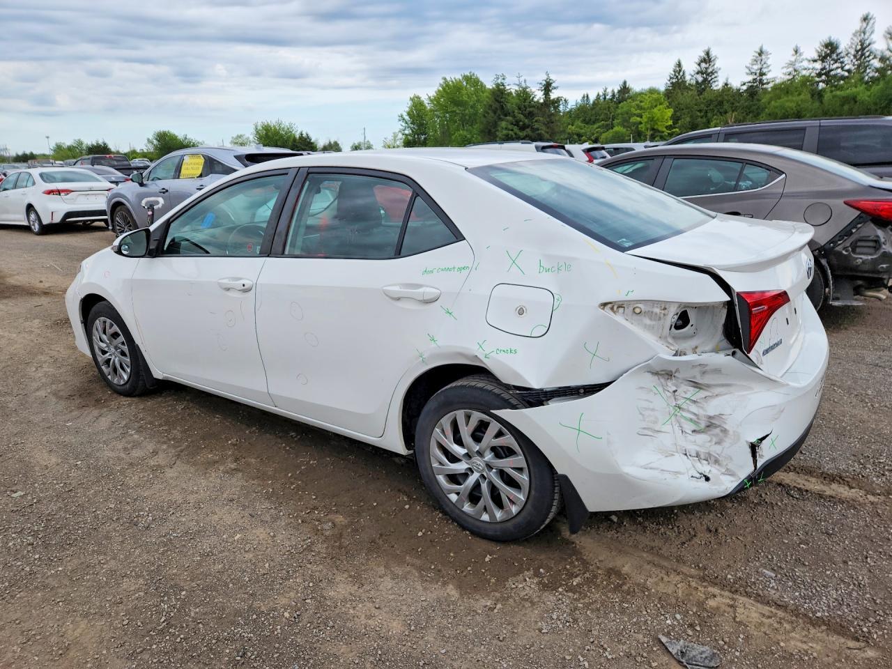 2019 TOYOTA COROLLA