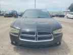 2013 DODGE CHARGER