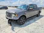 2011 FORD F-150 Lightning